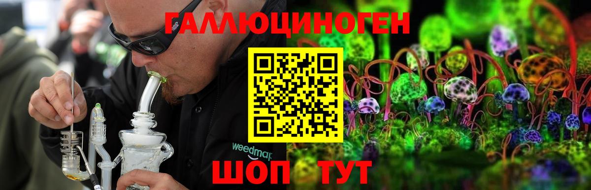 Псилоцибиновые грибы мухоморы Губкинский