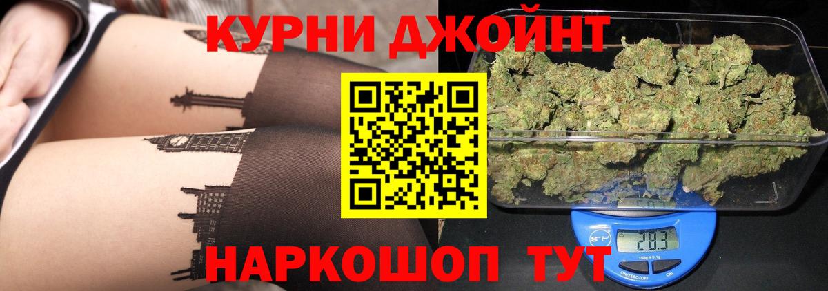 Каннабис MAZAR  Канабис гибрид  Губкинский  Вход с VPN  Каннабис семена 
